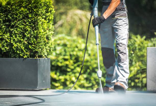 Best Sidewalk and Walkway Cleaning  in Spring Hill, FL